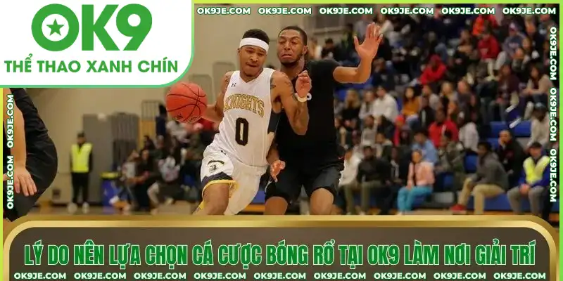 Lý do nên lựa chọn chơi tại OK9 làm nơi giải trí Lý do nên lựa chọn chơi tại OK9 làm nơi giải trí