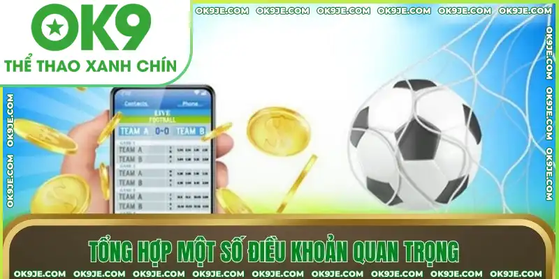 Tổng hợp một số điều khoản quan trọng Tổng hợp một số điều khoản quan trọng